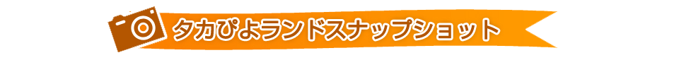 タカぴよランドスナップショット 見出し