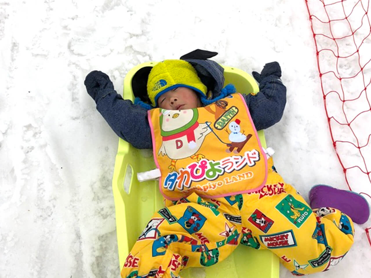 タカぴよランドスナップショット