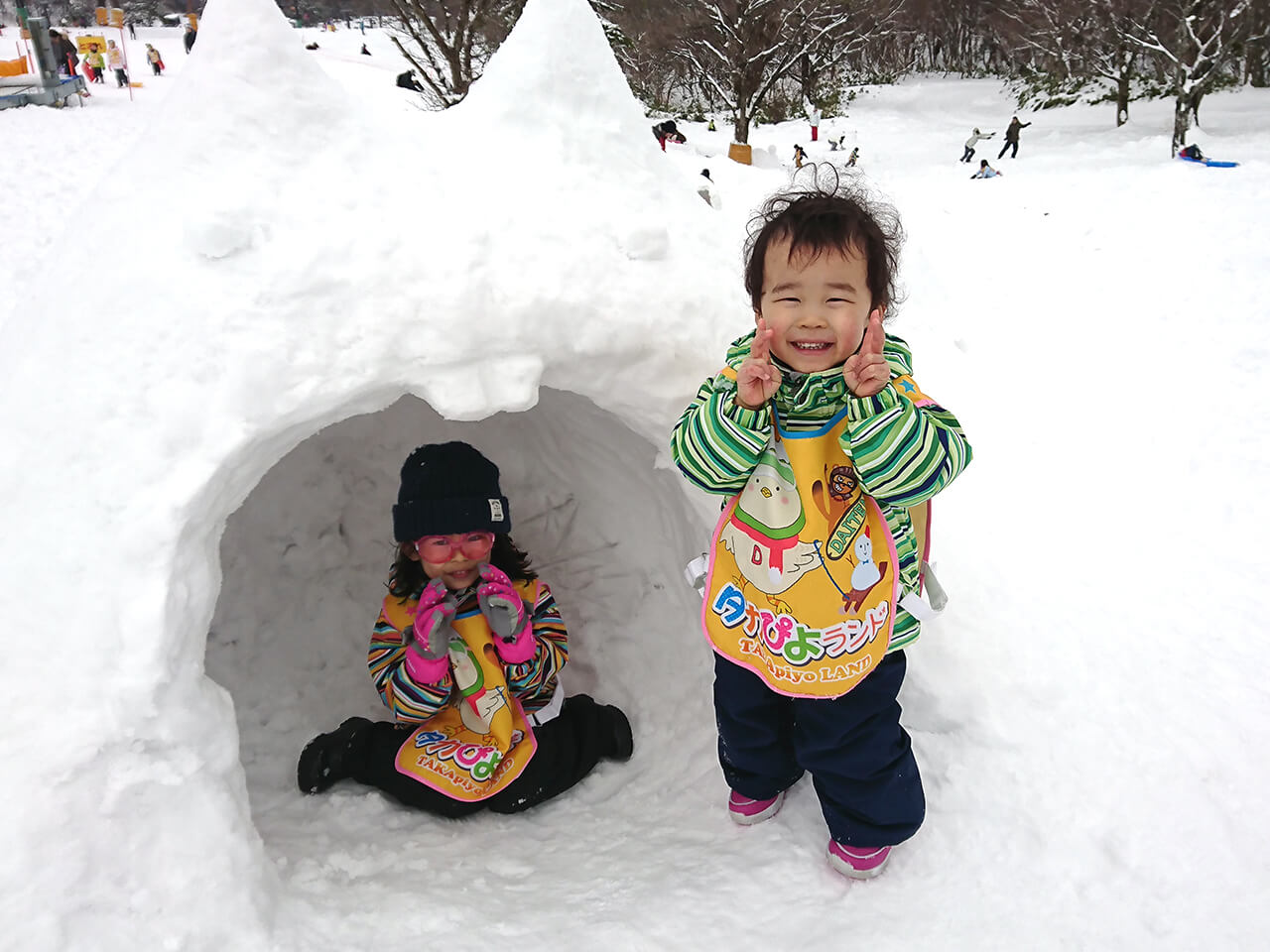 タカぴよランドスナップショット