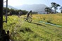 IMG_6205.JPG