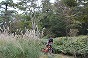 IMG_8367.JPG