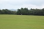 IMG_8378.JPG