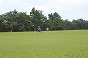 IMG_8384.JPG