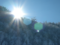 Fresh snow morning