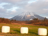 大山のマシュマロ