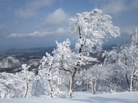 リーゼンの樹氷