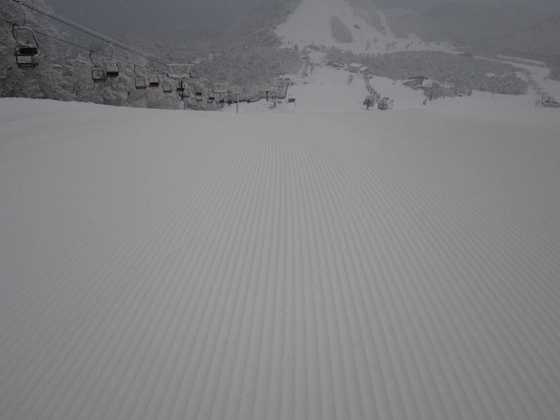 雪の絨毯