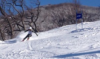レース初参戦