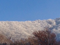 赤白青 トリコロールカラーの大山