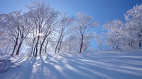 新雪と影と