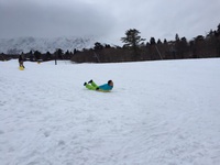 大山のシャチホコ