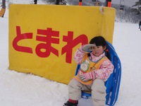 タカぴよランドの見張り役