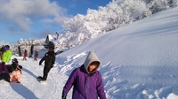 新雪の国際スキーゲレンデ頂上2
