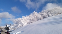 新雪の国際スキーゲレンデ頂上3