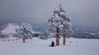 大雪の大山！