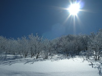 雪がキラキラ。