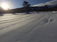 朝一の大山