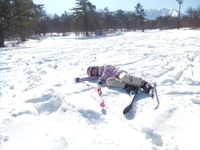 雪が気持ちいい?♪