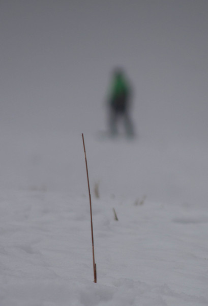 White Desert