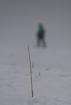 White Desert