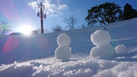 雪が恋しい季節になりました