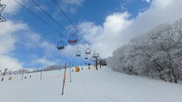 青空と樹氷