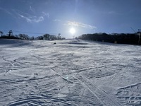 ひょっこり朝日の中の原