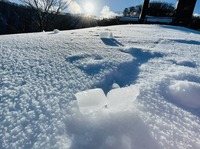 朝イチ