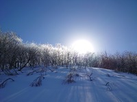 大山最高！