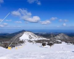 2024優秀賞　240